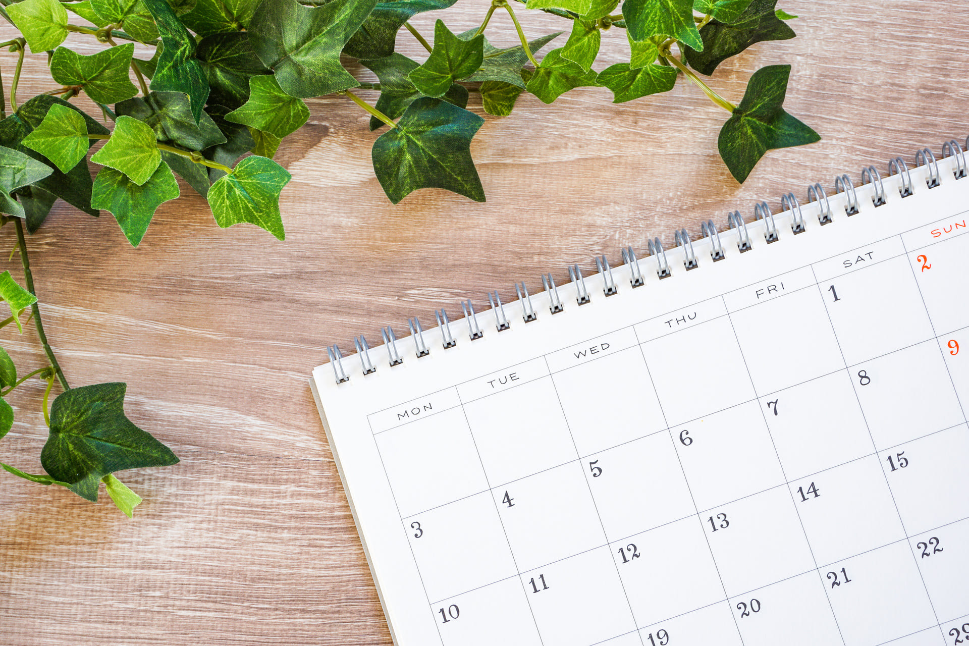 AdobeStock_239486520